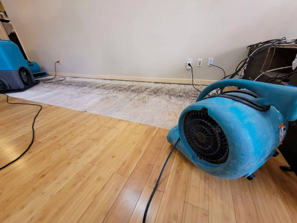 Professional Water Damage Repair technician working in Strabane, PA